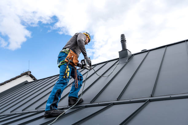 Best Roof Maintenance and Cleaning  in Hampton, VA